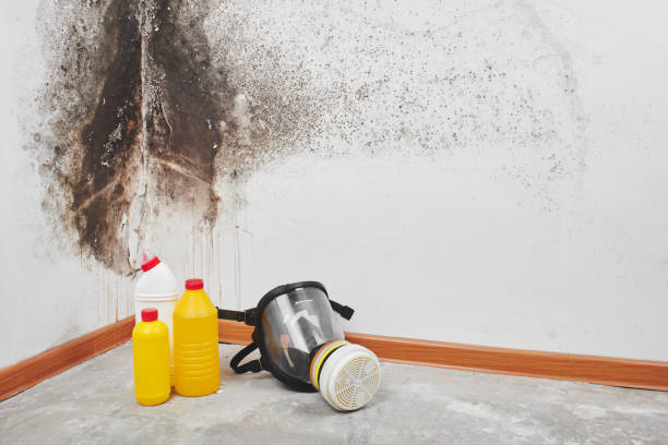 Best Commercial Mold Removal  in Columbia, MD