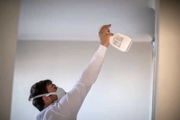 Best Best Mold Removal Companies  in Columbia, MD