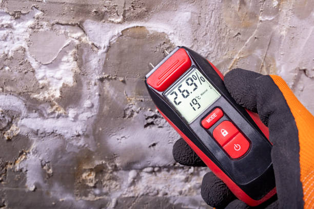Best Attic Mold Removal  in Columbia, MD