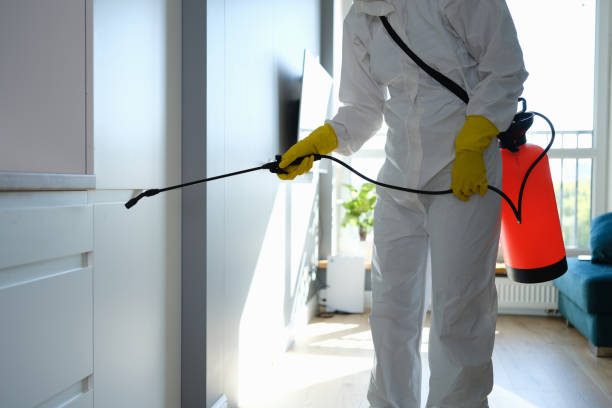 Best Local Mold Removal Service  in Columbia, MD